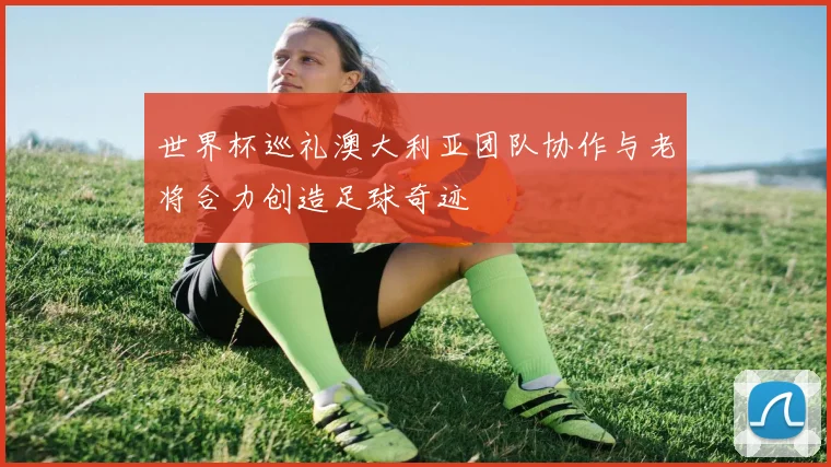 世界杯巡礼澳大利亚团队协作与老将合力创造足球奇迹