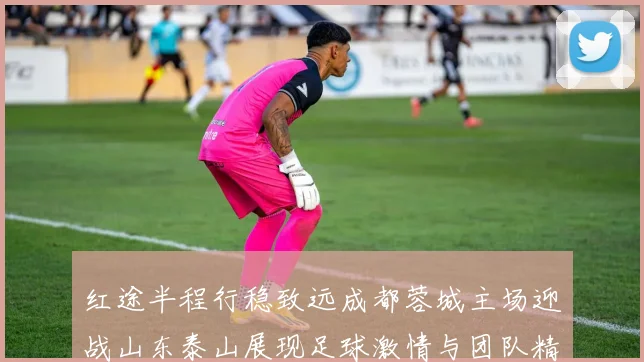 红途半程行稳致远成都蓉城主场迎战山东泰山展现足球激情与团队精神